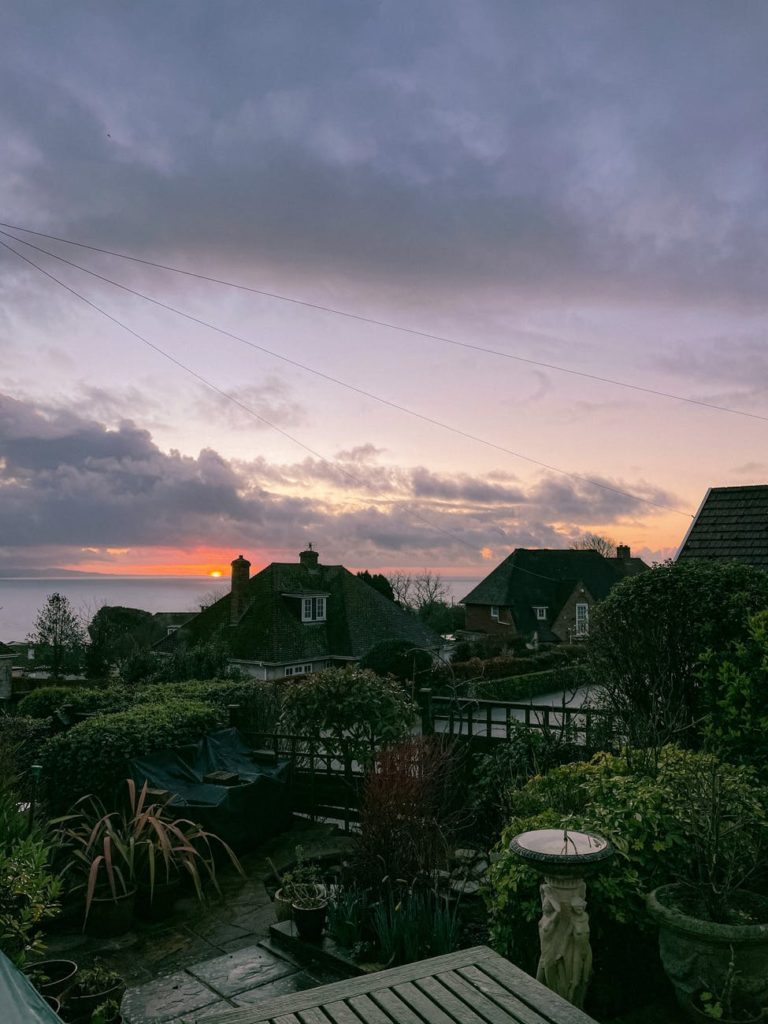 backyard with bushes and potted plants near cottages at sundown