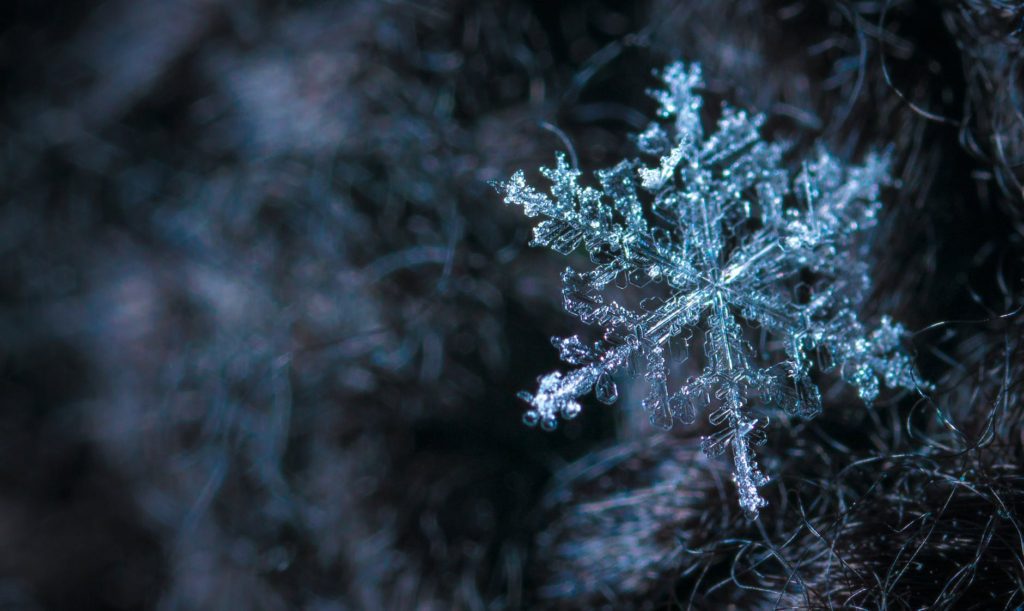 close up photography of snowflake