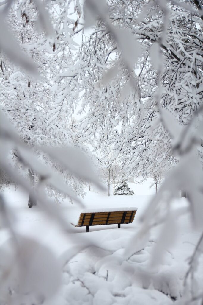 brown outdoor bench with snow on top